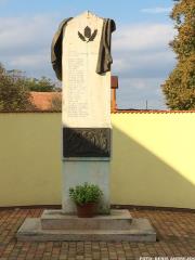 Razkritje spominske plošče dr. Mirka Lenaršiča 2